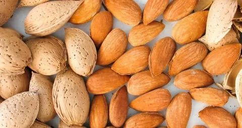 تصویر 4 از قیمت خرید بادام مامایی نجف آباد عمده به صرفه و ارزان